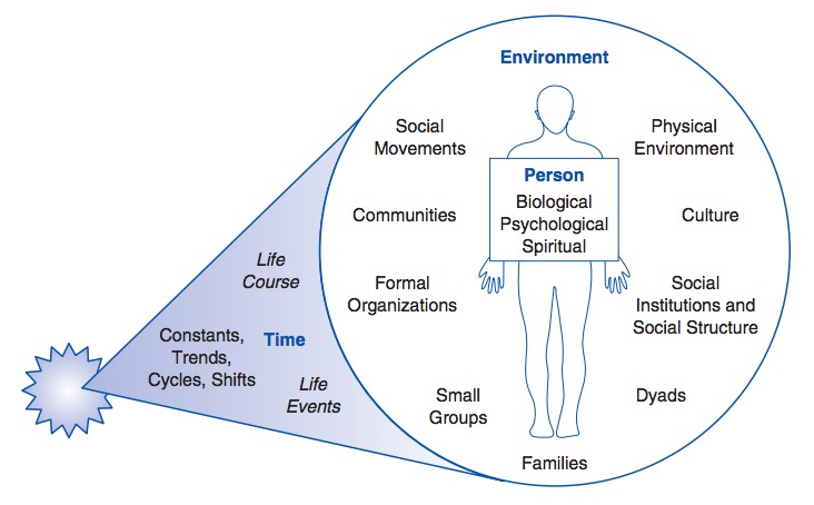 Soubor:Www sagepub com upm-data 17841 Chapter 1 pdf.jpg