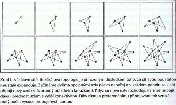 Soubor:Komplexní sítě.jpg
