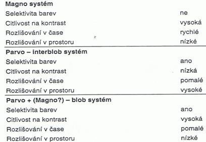 Soubor:Funkce Magno a Parvo systému.jpg