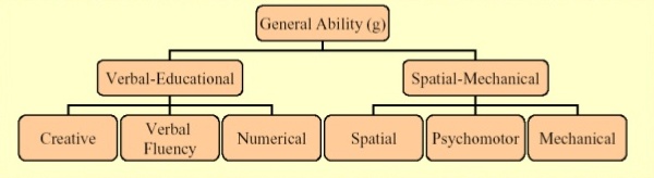 Soubor:Hierarch model inteligence.jpg
