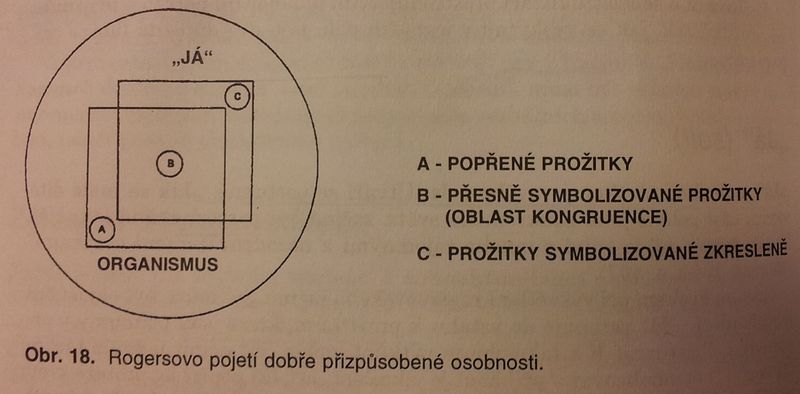 Soubor:Dobře přizpůsobená osobnost.jpg