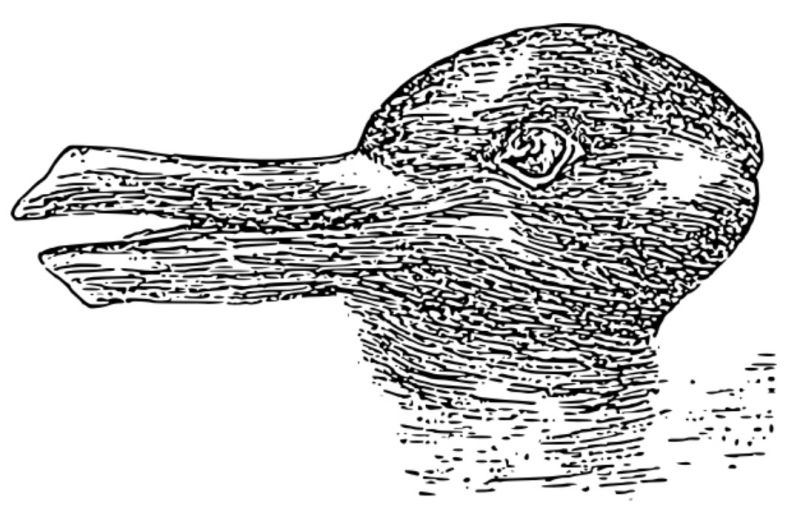 Soubor:Příklad reinterpretace dvojznačných obrazů.jpg