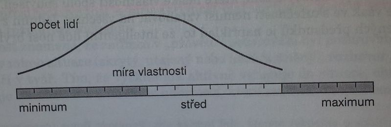 Soubor:Chyba přísnosti.jpg