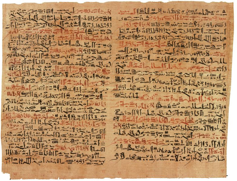 Soubor:Papyrus 2.jpg