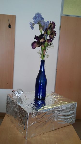 Soubor:20160525 145827.jpg