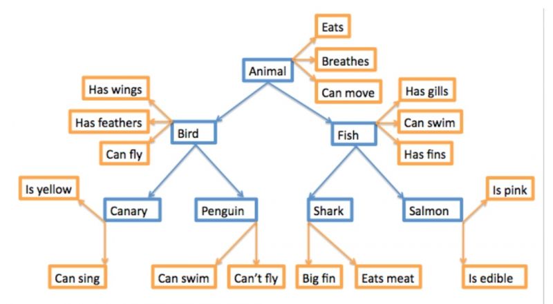 Soubor:Collins a Quillian.jpg