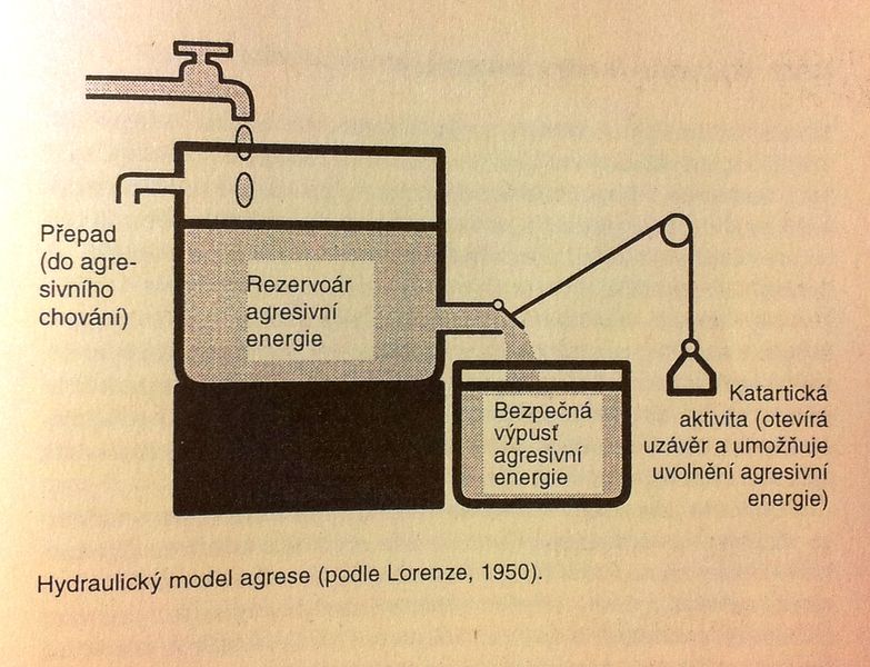 Soubor:20161002 150052.jpg